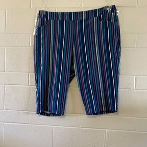 Multi-Color Vertical Stripped Pants, Size 3X